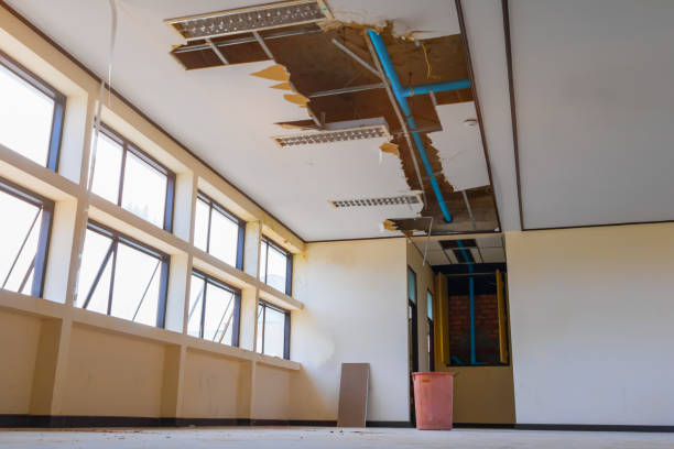 Best Water damage restoration near me  in Tunica, MS