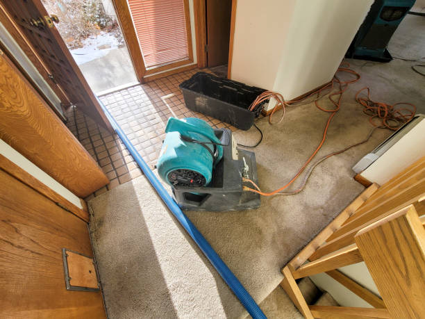 Best Fire Damage Restoration  in Tunica, MS