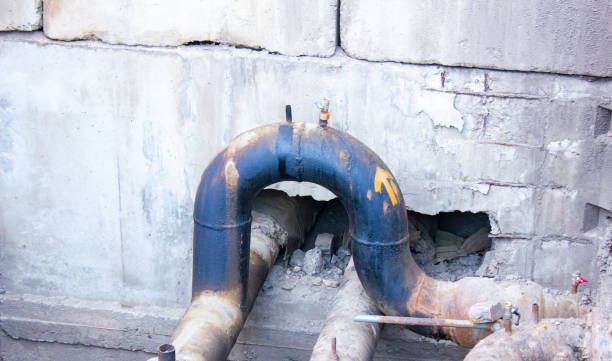 Best Carpet water damage restoration  in Tunica, MS